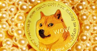 What Is Dogecoin