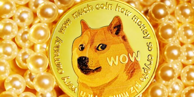 What Is Dogecoin