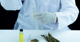 Drug Testing Services