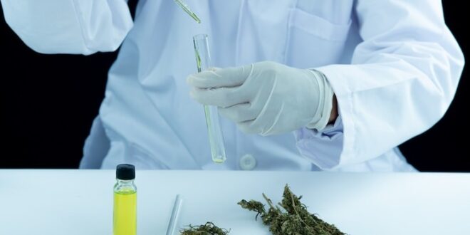 Drug Testing Services