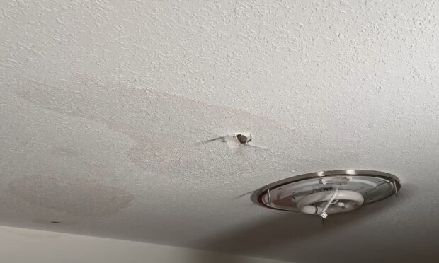 Close-up view of textured white ceiling showing signs of water damage